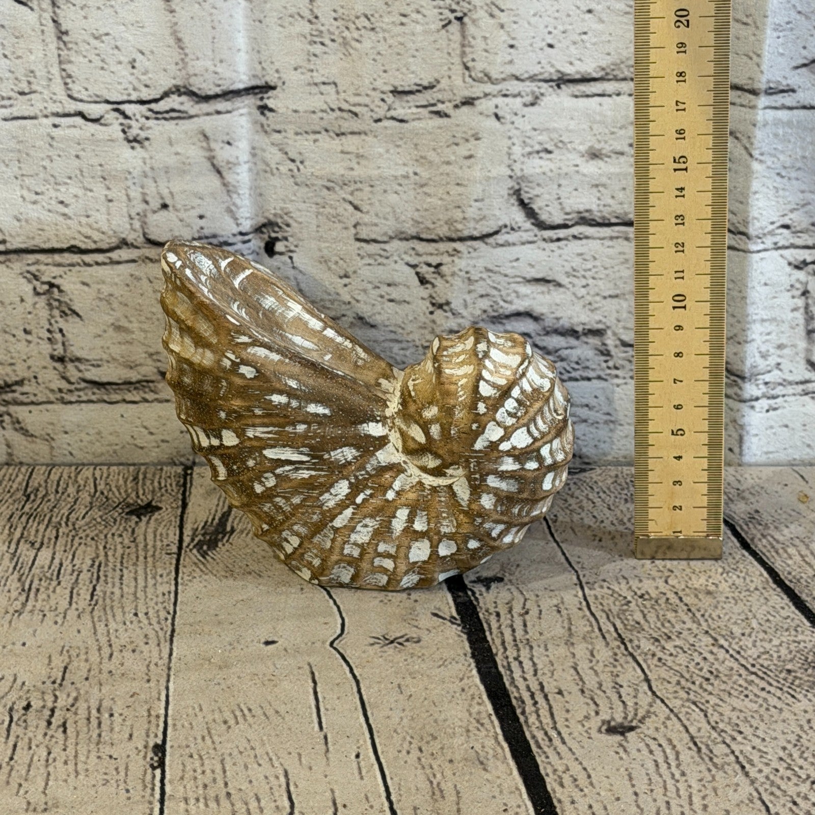 15cm Brown Shabby Pastel Nautilus Shell Ornament Decor Carved Light Wood Figure5