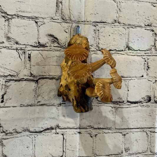 Carved Mushrooms Wall Art Mushroom Parasite Wood Ornament Natural Carving Wooden0