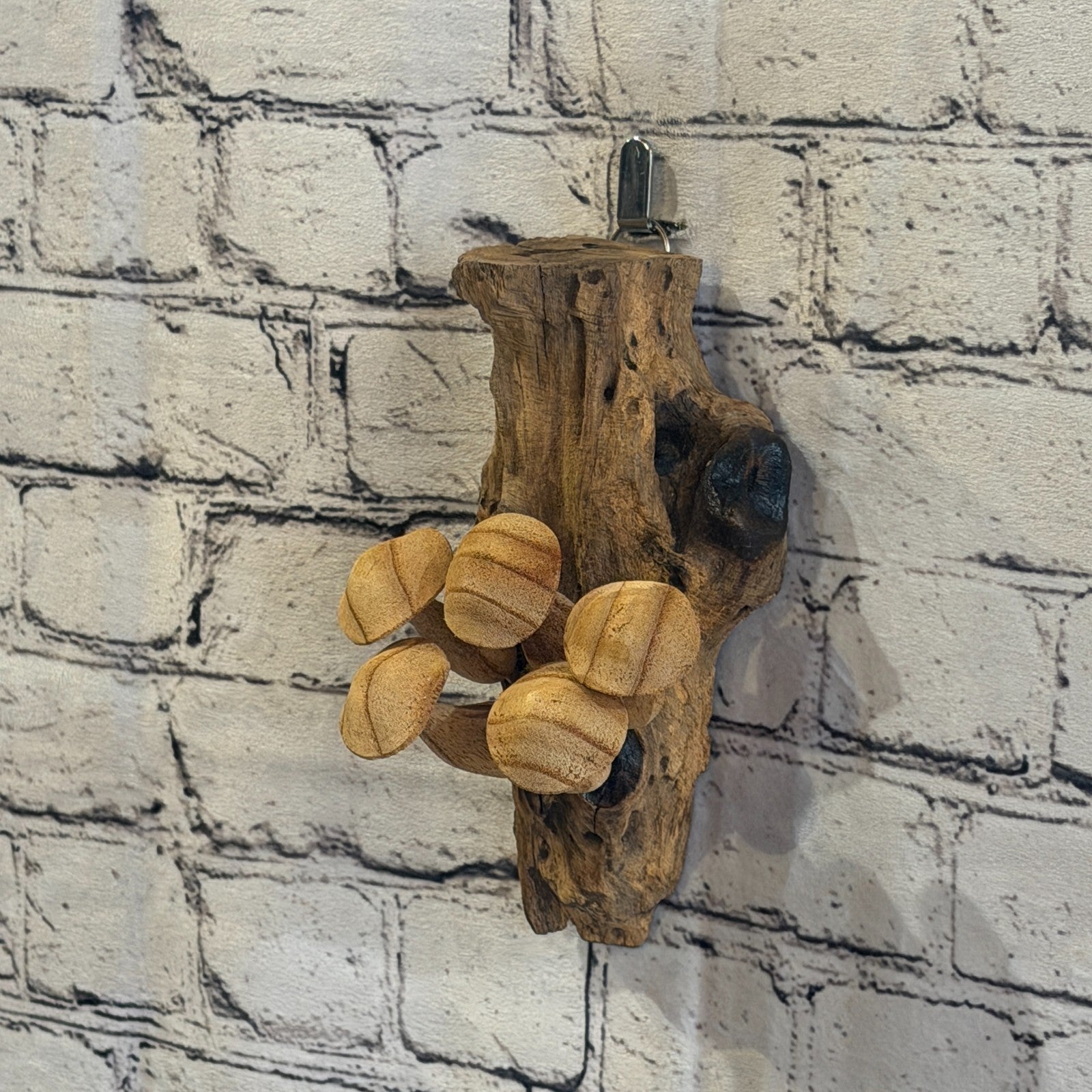 20cm Button Top Wall Art Mushroom Parasite Wood Ornament Natural Carving Wooden4