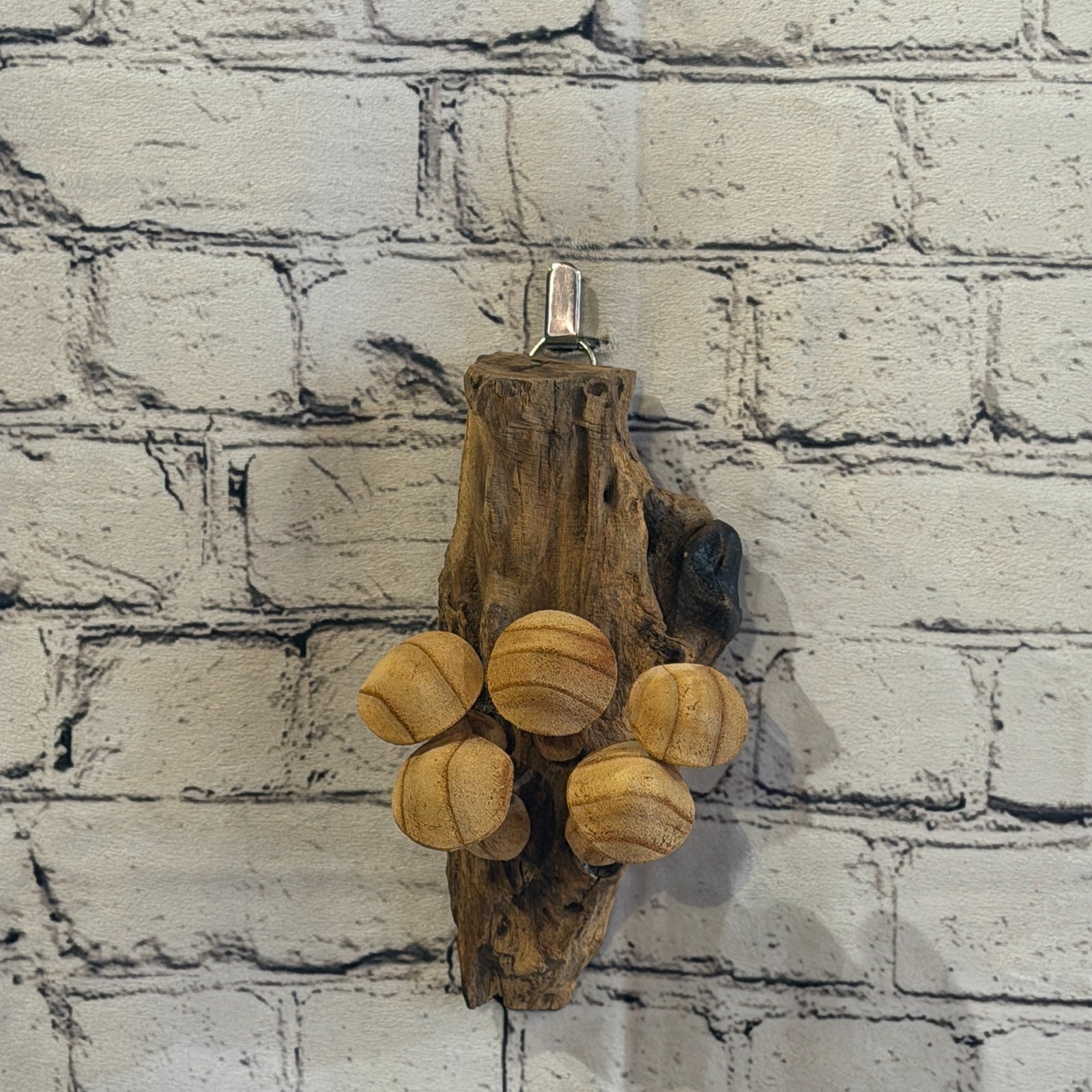 20cm Button Top Wall Art Mushroom Parasite Wood Ornament Natural Carving Wooden5