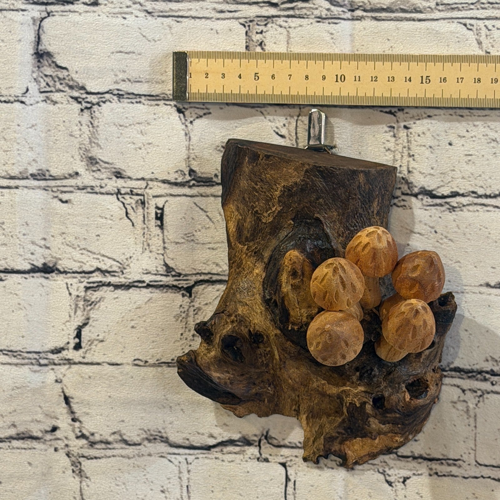 20cm Cut Out Top Wall Art Mushroom Parasite Wood Ornament Natural Carving Wooden3