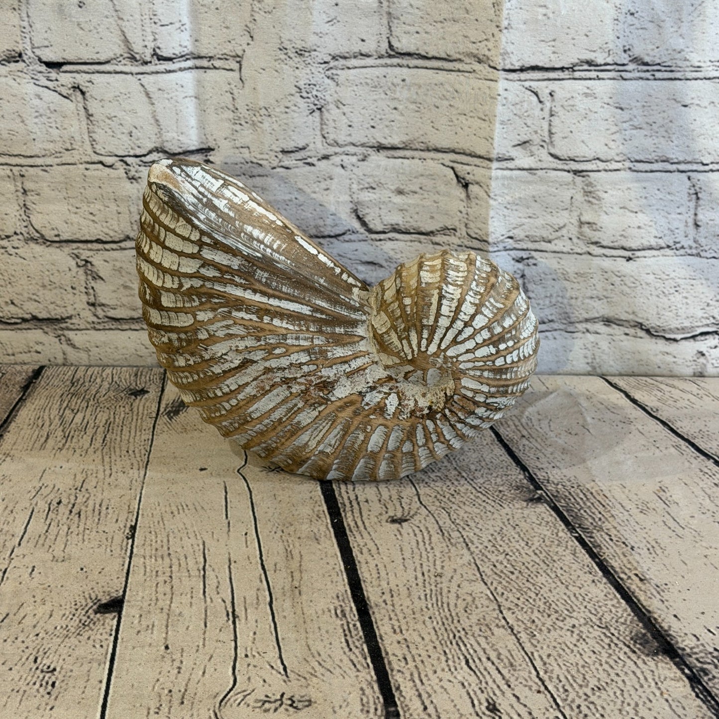 25cm Brown Shabby Pastel Nautilus Shell Ornament Decor Carved Light Wood Figure3