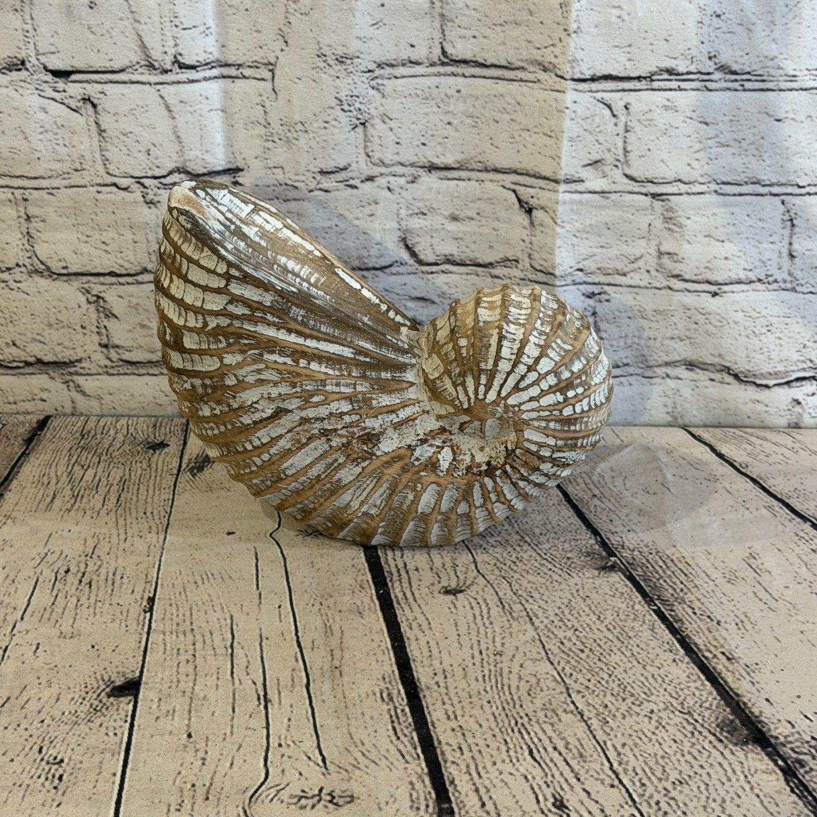 25cm Brown Shabby Pastel Nautilus Shell Ornament Decor Carved Light Wood Figure3