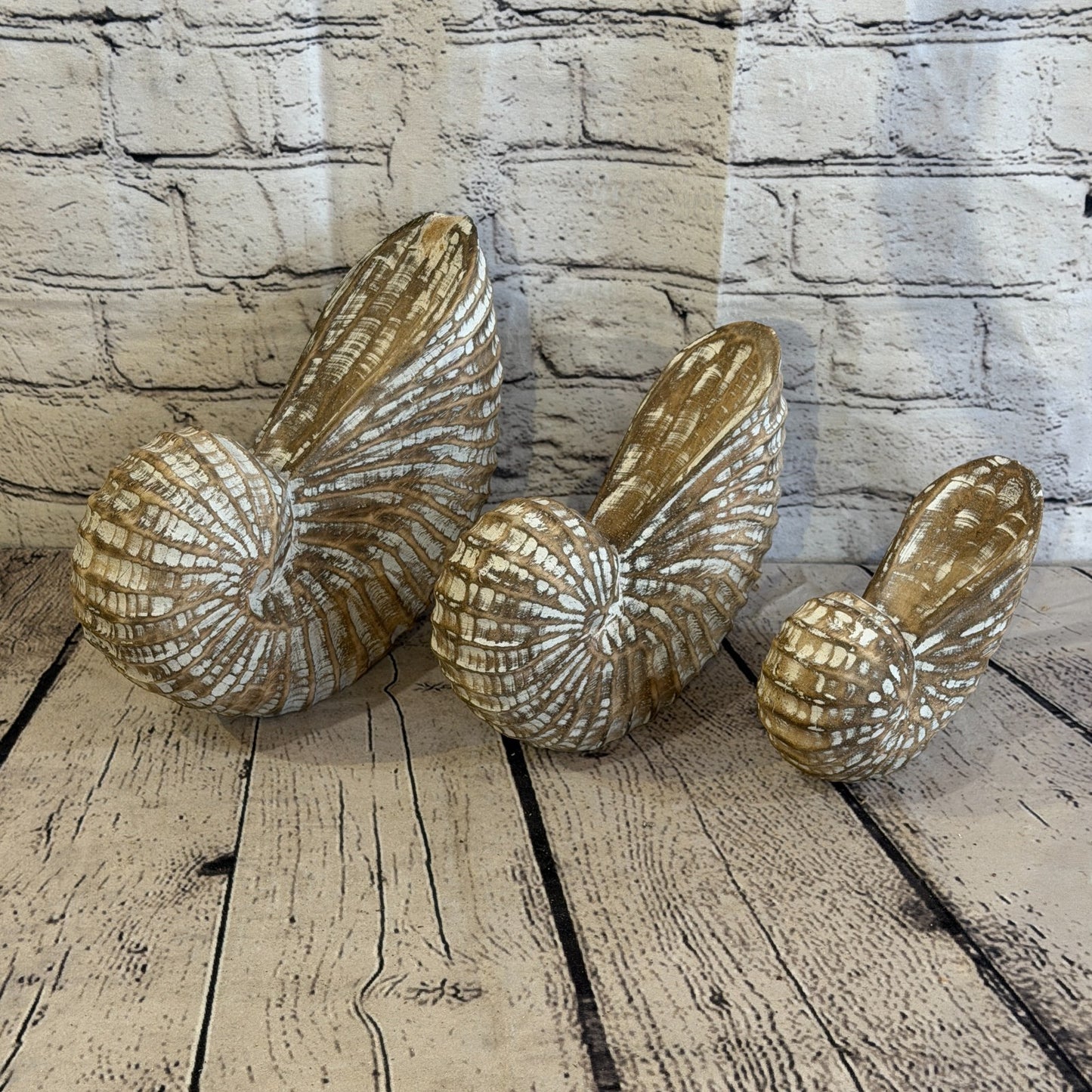 25cm Brown Shabby Pastel Nautilus Shell Ornament Decor Carved Light Wood Figure9