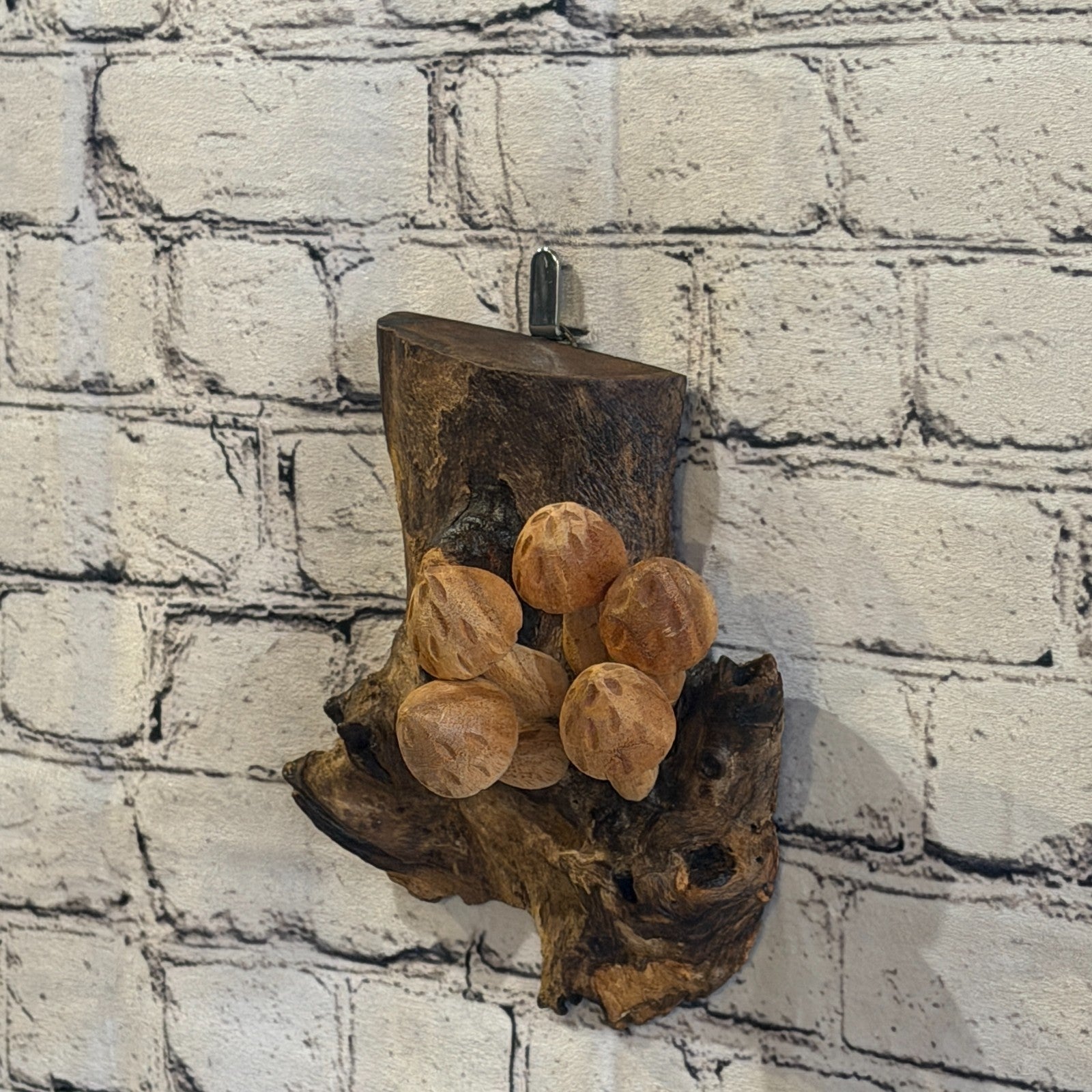 20cm Cut Out Top Wall Art Mushroom Parasite Wood Ornament Natural Carving Wooden1