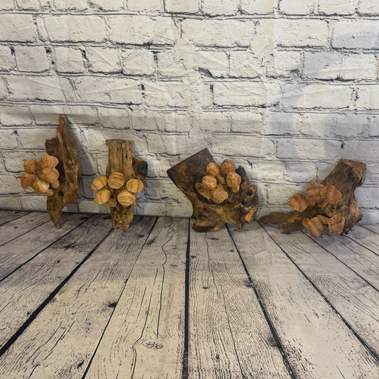 20cm Button Top Wall Art Mushroom Parasite Wood Ornament Natural Carving Wooden0