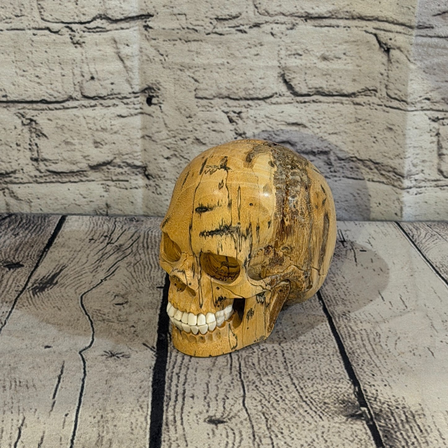 12cm x 12cm Realistic Human Skull Tamarind Wood Replica Moving Jaw Skeleton Head0