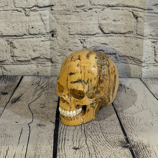 12cm x 12cm Realistic Human Skull Tamarind Wood Replica Moving Jaw Skeleton Head0