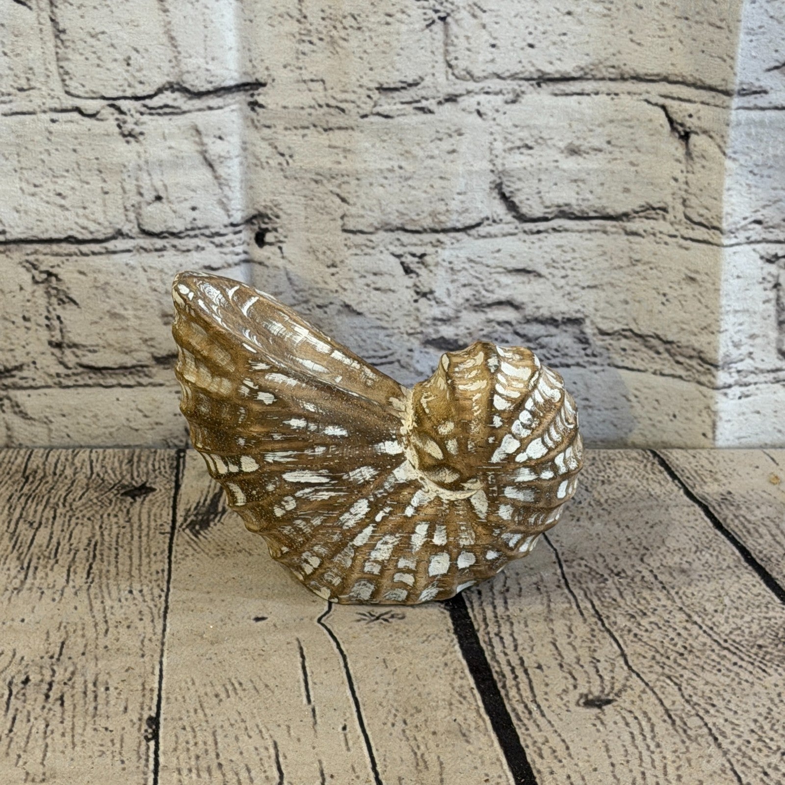 15cm Brown Shabby Pastel Nautilus Shell Ornament Decor Carved Light Wood Figure3