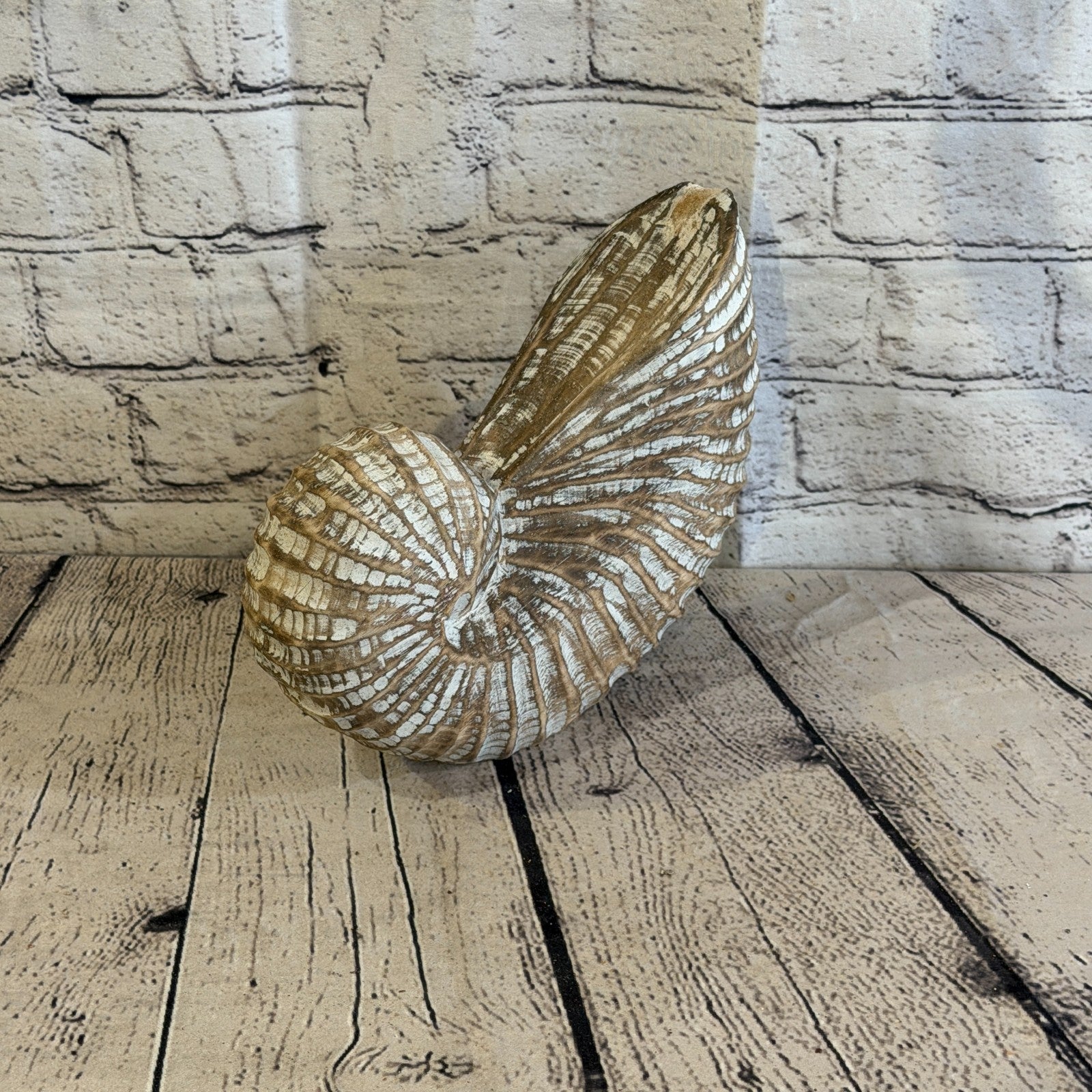 25cm Brown Shabby Pastel Nautilus Shell Ornament Decor Carved Light Wood Figure0