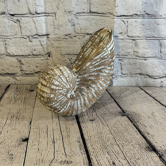 25cm Brown Shabby Pastel Nautilus Shell Ornament Decor Carved Light Wood Figure0