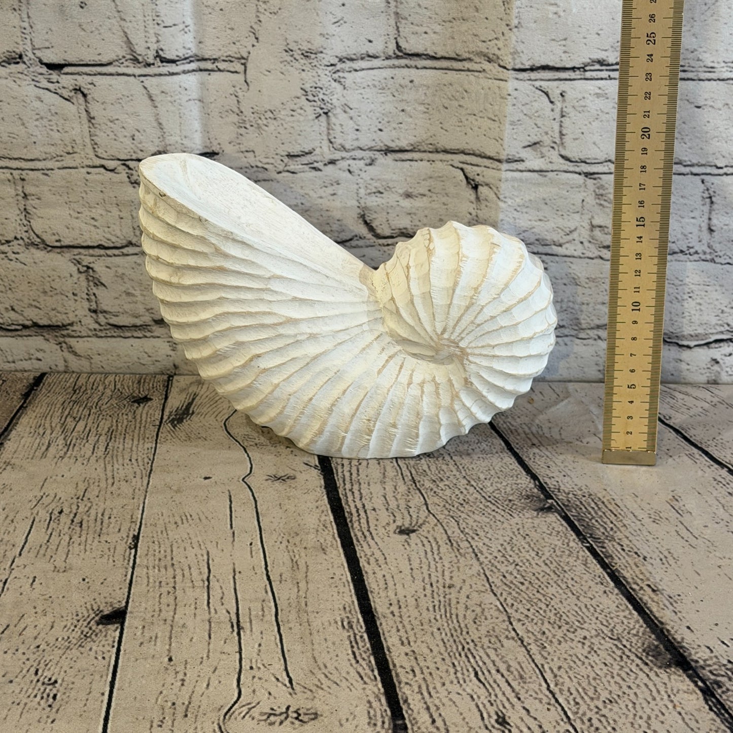 25cm White Shabby Pastel Nautilus Shell Ornament Decor Carved Light Wood Figure5
