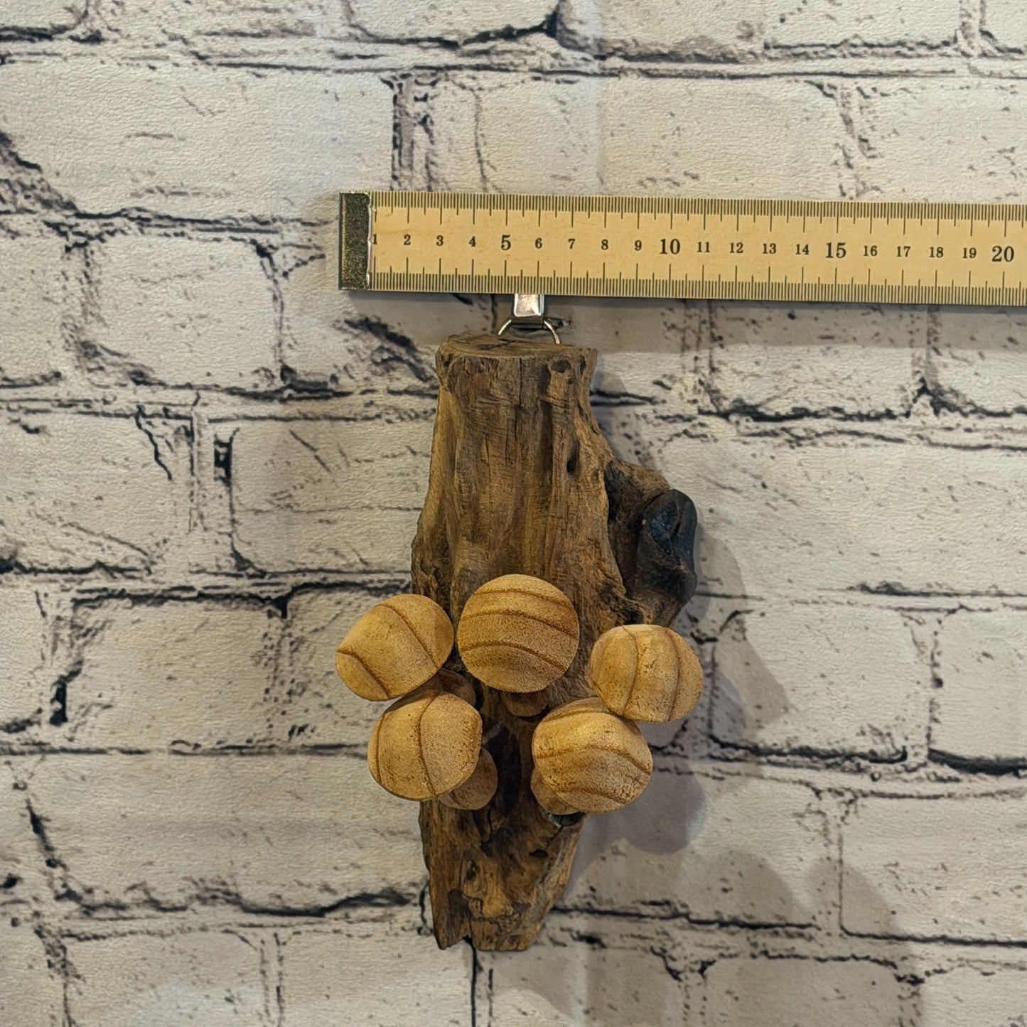 20cm Button Top Wall Art Mushroom Parasite Wood Ornament Natural Carving Wooden6