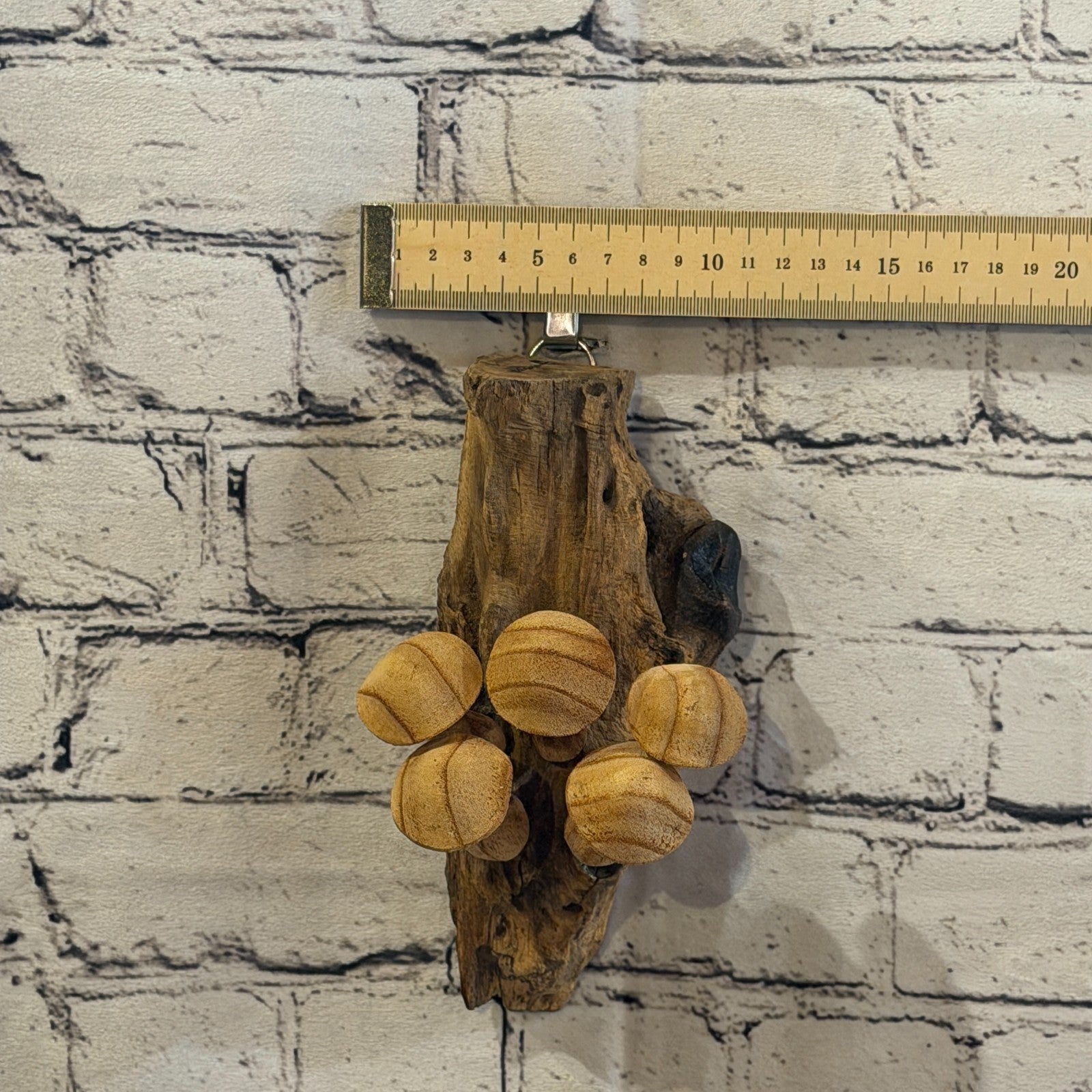 20cm Button Top Wall Art Mushroom Parasite Wood Ornament Natural Carving Wooden6
