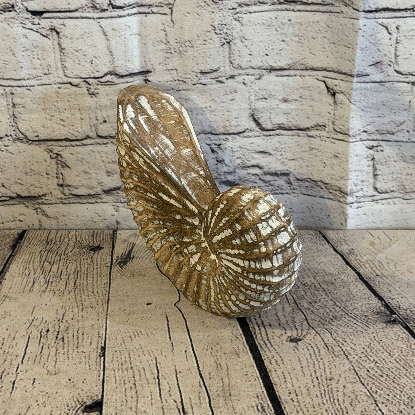 20cm Brown Shabby Pastel Nautilus Shell Ornament Decor Carved Light Wood Figure2