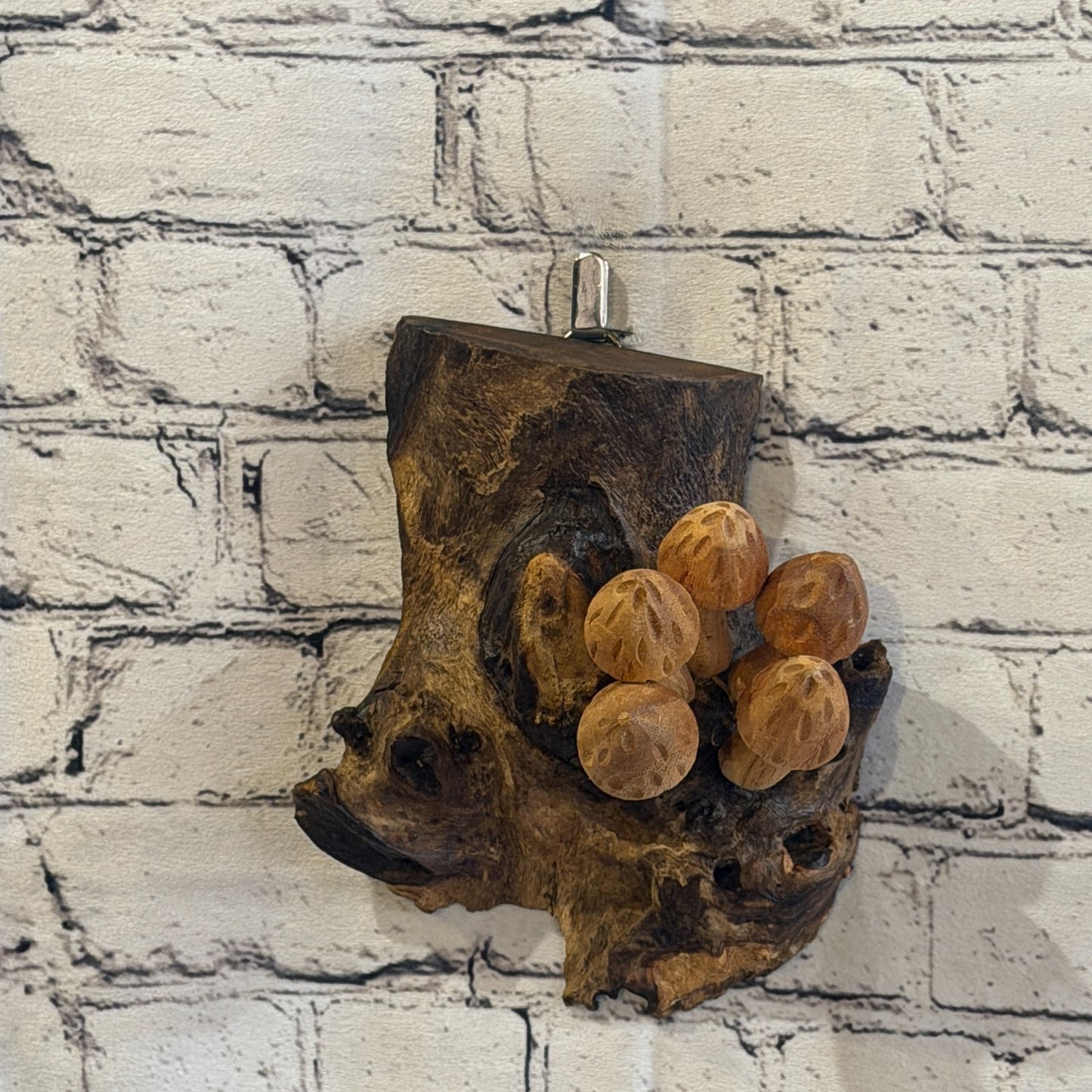 20cm Cut Out Top Wall Art Mushroom Parasite Wood Ornament Natural Carving Wooden2