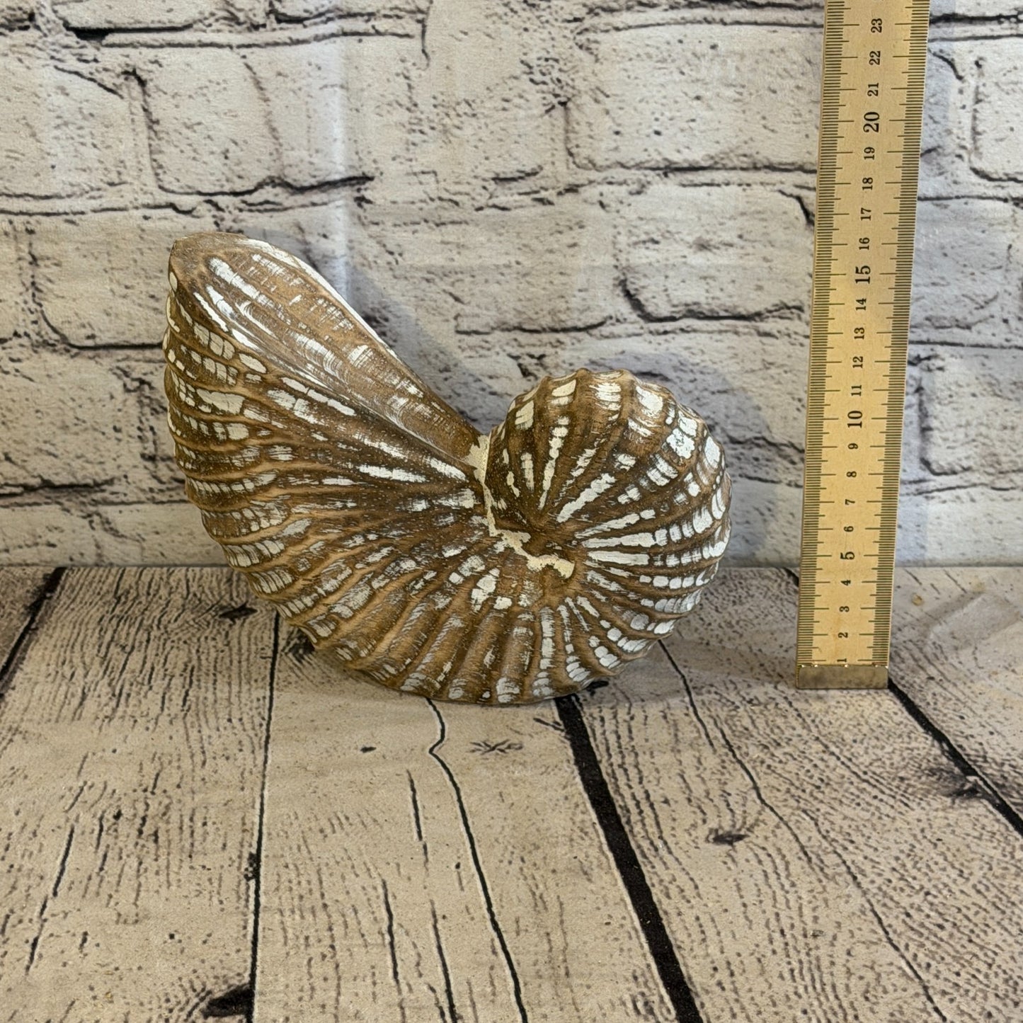 20cm Brown Shabby Pastel Nautilus Shell Ornament Decor Carved Light Wood Figure6