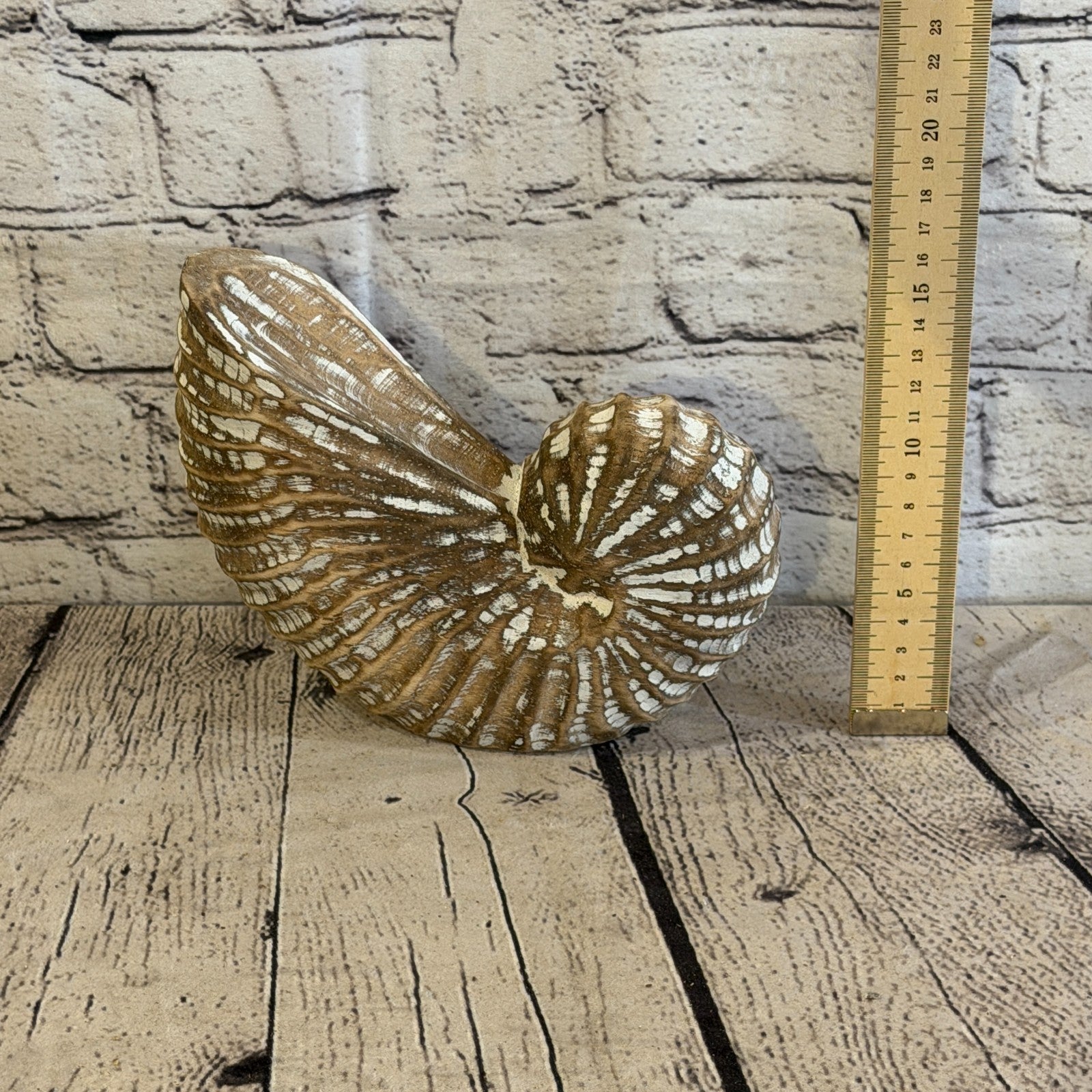 20cm Brown Shabby Pastel Nautilus Shell Ornament Decor Carved Light Wood Figure6