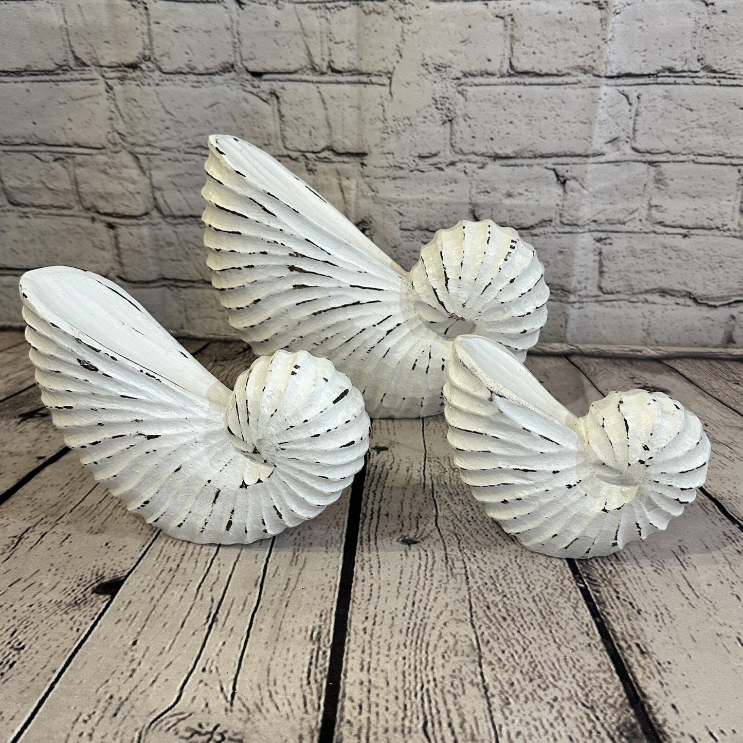 25cm White Shabby Nautilus Shell Ornament Decor Carved Light Wood Parcel Figure9