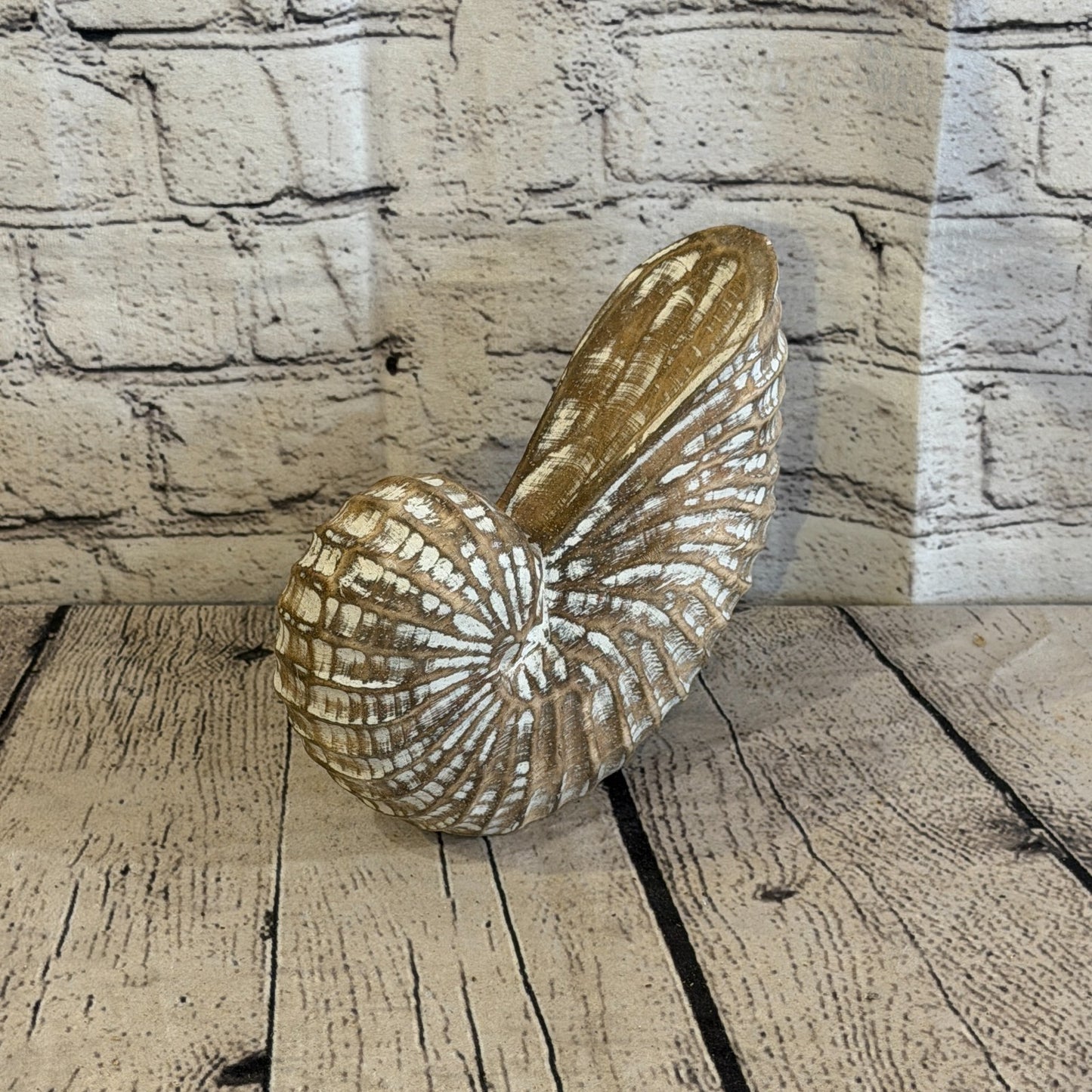 20cm Brown Shabby Pastel Nautilus Shell Ornament Decor Carved Light Wood Figure0