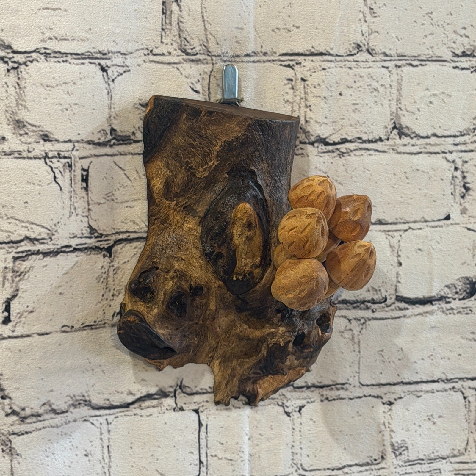 20cm Cut Out Top Wall Art Mushroom Parasite Wood Ornament Natural Carving Wooden0
