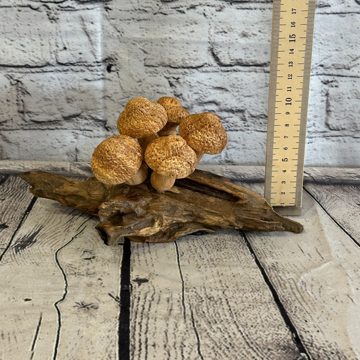 Five Dimple Mushrooms Parasite Ornament Natural Carving Fairtrade Wooden6