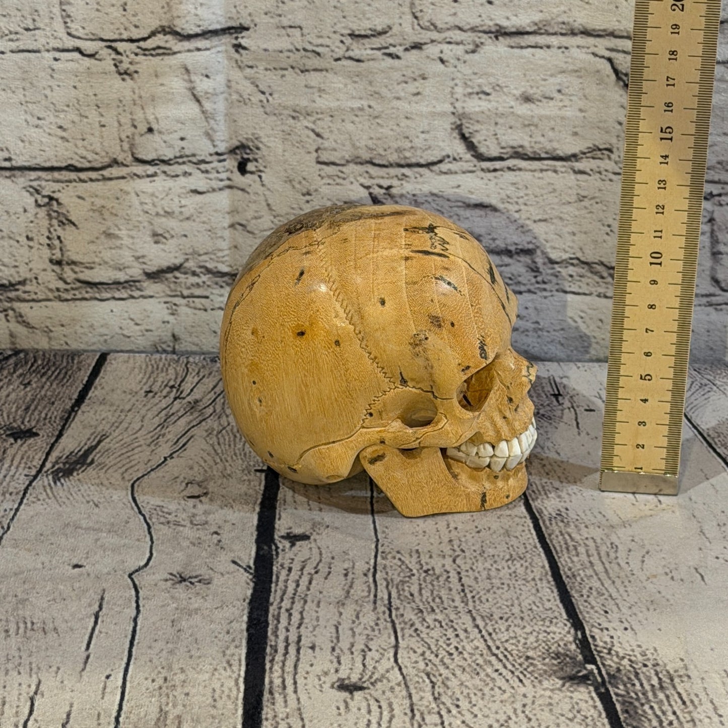 12cm x 12cm Realistic Human Skull Tamarind Wood Replica Moving Jaw Skeleton Head5