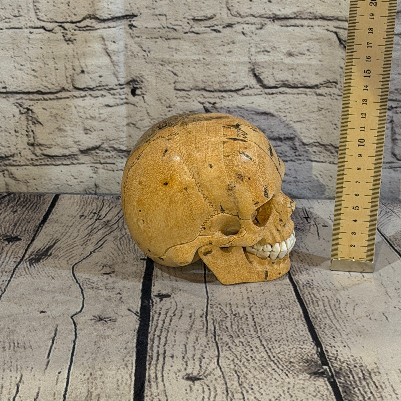 12cm x 12cm Realistic Human Skull Tamarind Wood Replica Moving Jaw Skeleton Head5