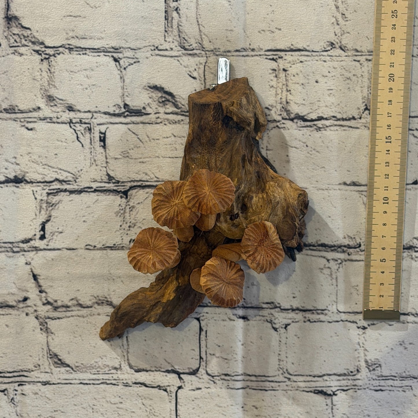 20cm Flat Top Wall Art Mushroom Parasite Wood Ornament Natural Carving Wooden5