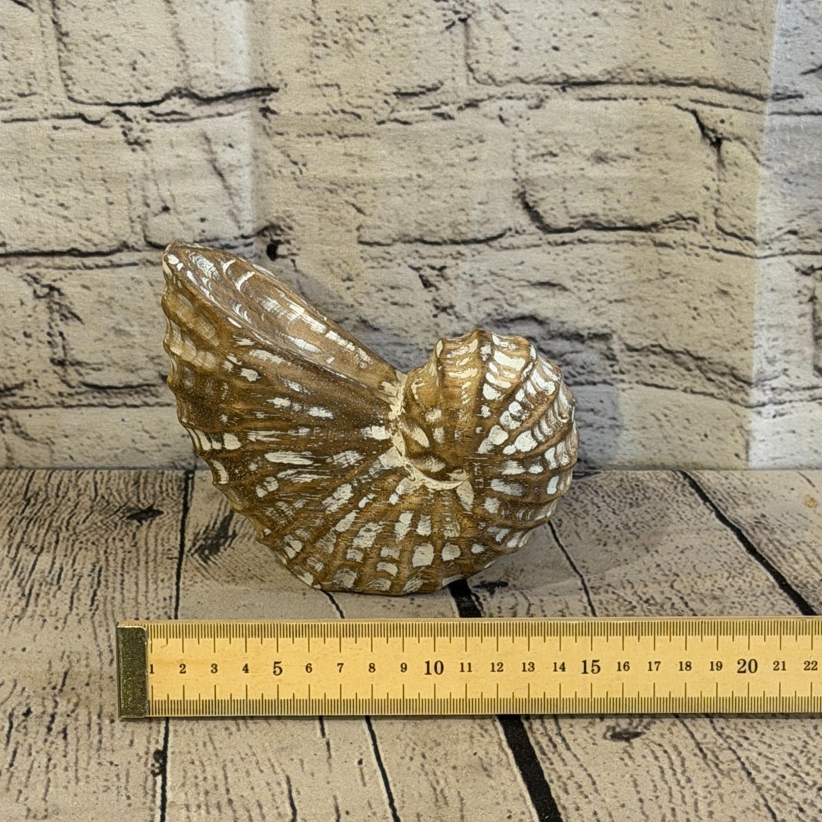 15cm Brown Shabby Pastel Nautilus Shell Ornament Decor Carved Light Wood Figure6
