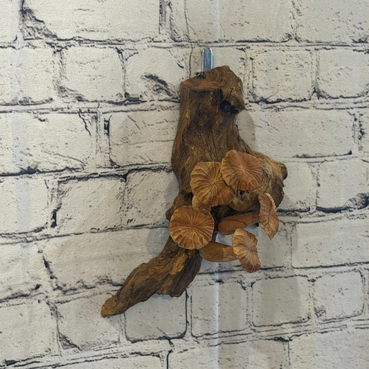 20cm Flat Top Wall Art Mushroom Parasite Wood Ornament Natural Carving Wooden0