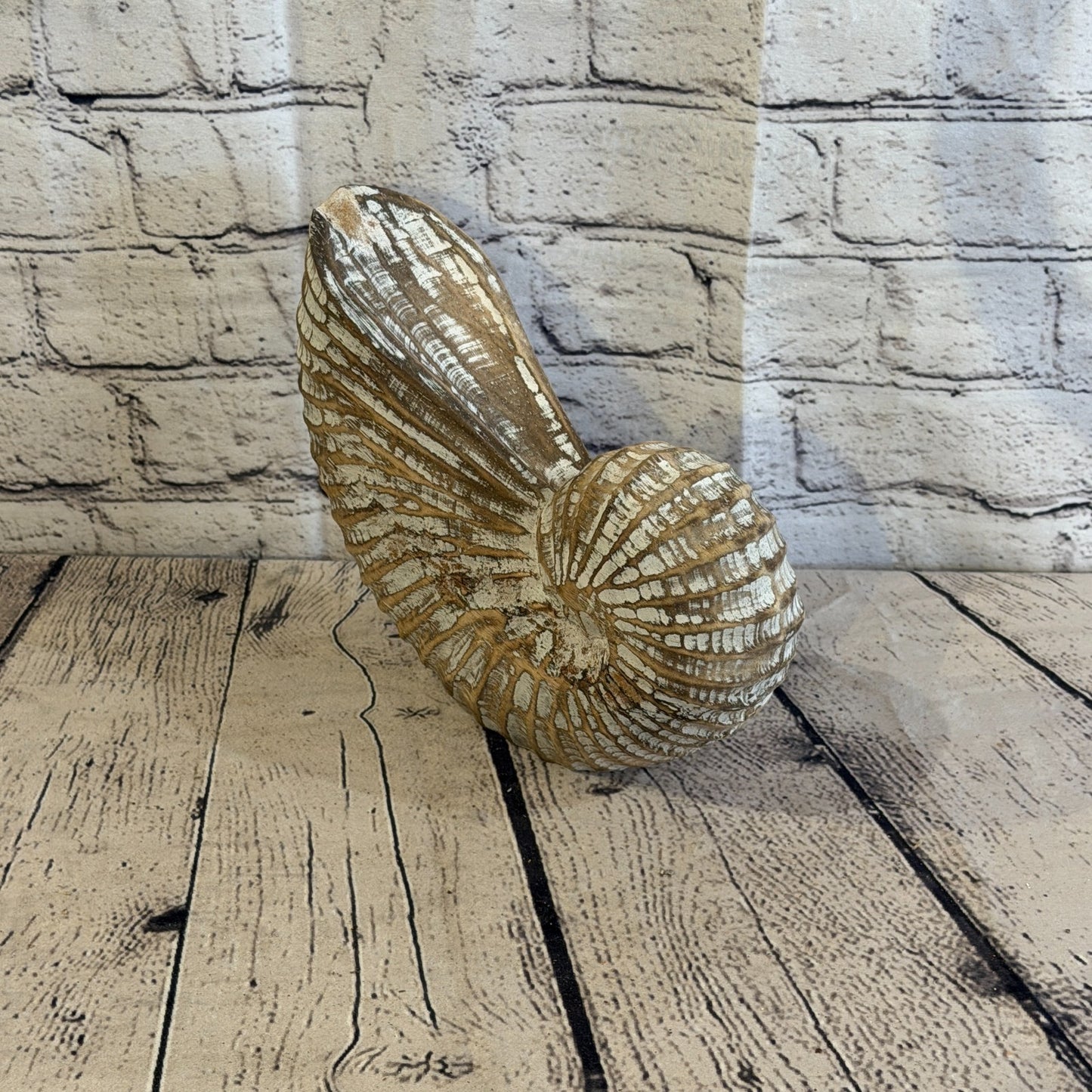25cm Brown Shabby Pastel Nautilus Shell Ornament Decor Carved Light Wood Figure2