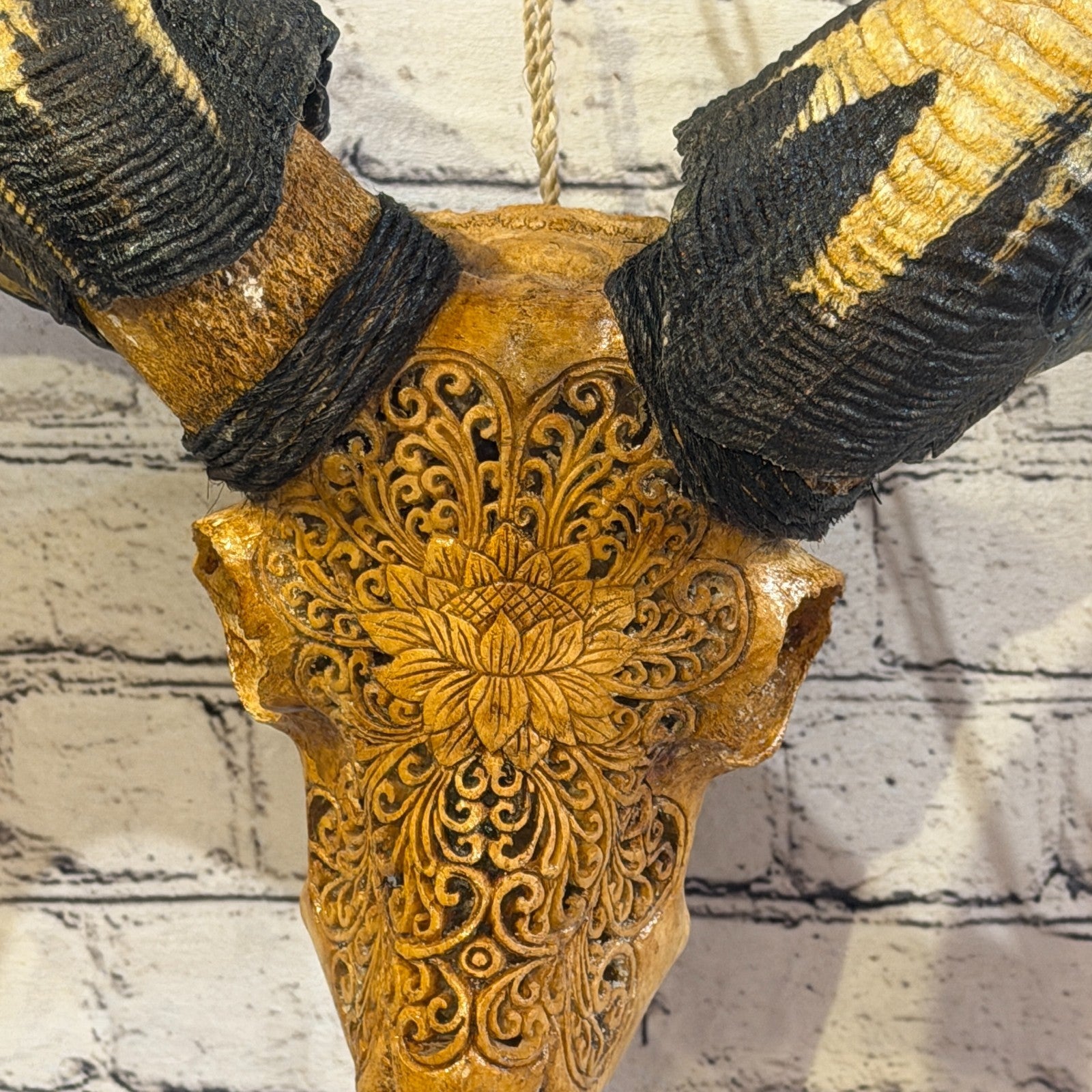 30cm Carved Buffalo Ram Wild Skulls Wall Hanging Carved With Stand Design 33