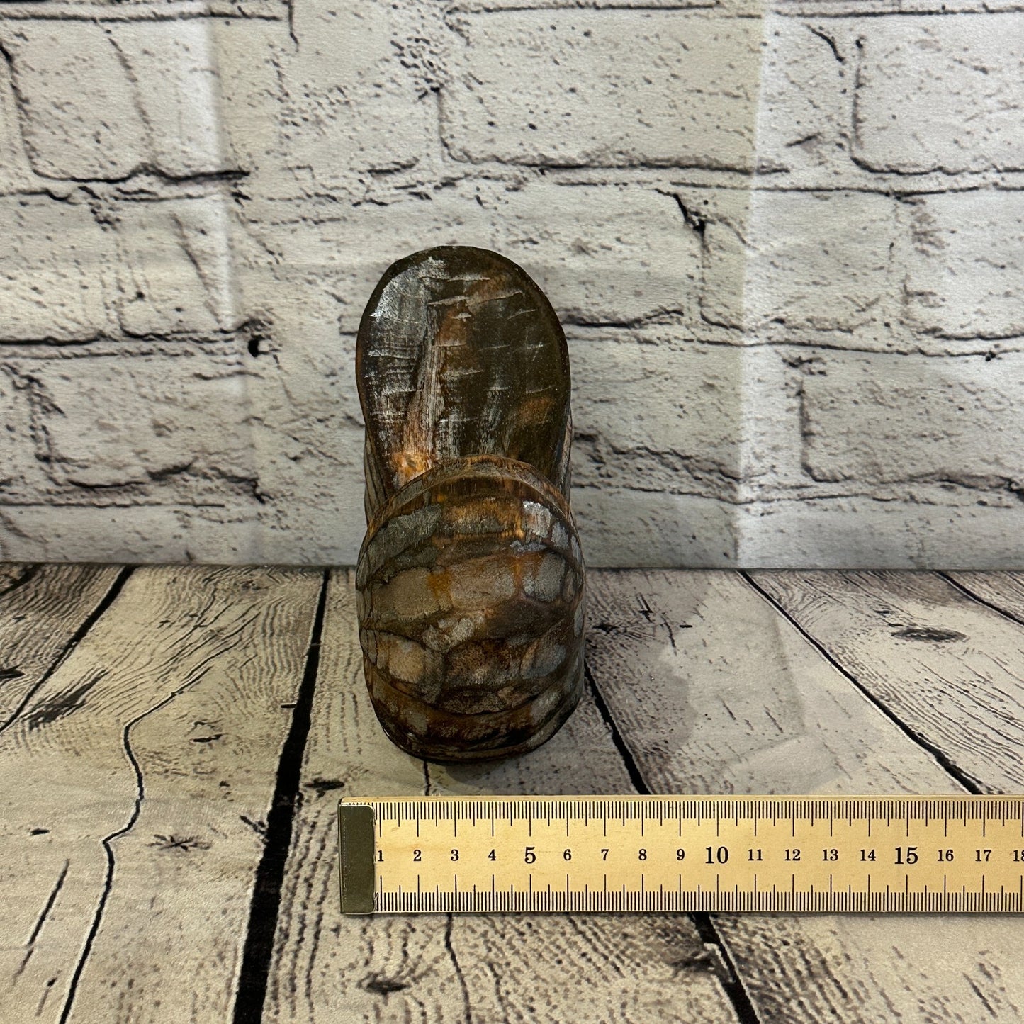 15cm Brown Polish Nautilus Shell Ornament Decor Carved Light Wood Parcel Figure8