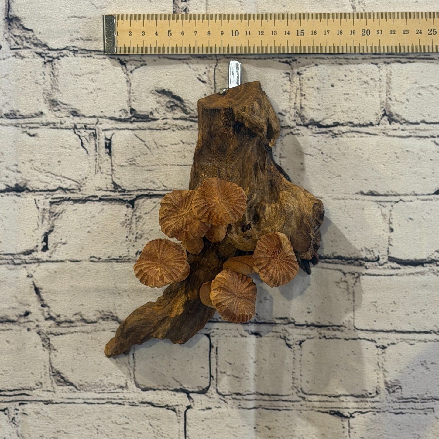 20cm Flat Top Wall Art Mushroom Parasite Wood Ornament Natural Carving Wooden4