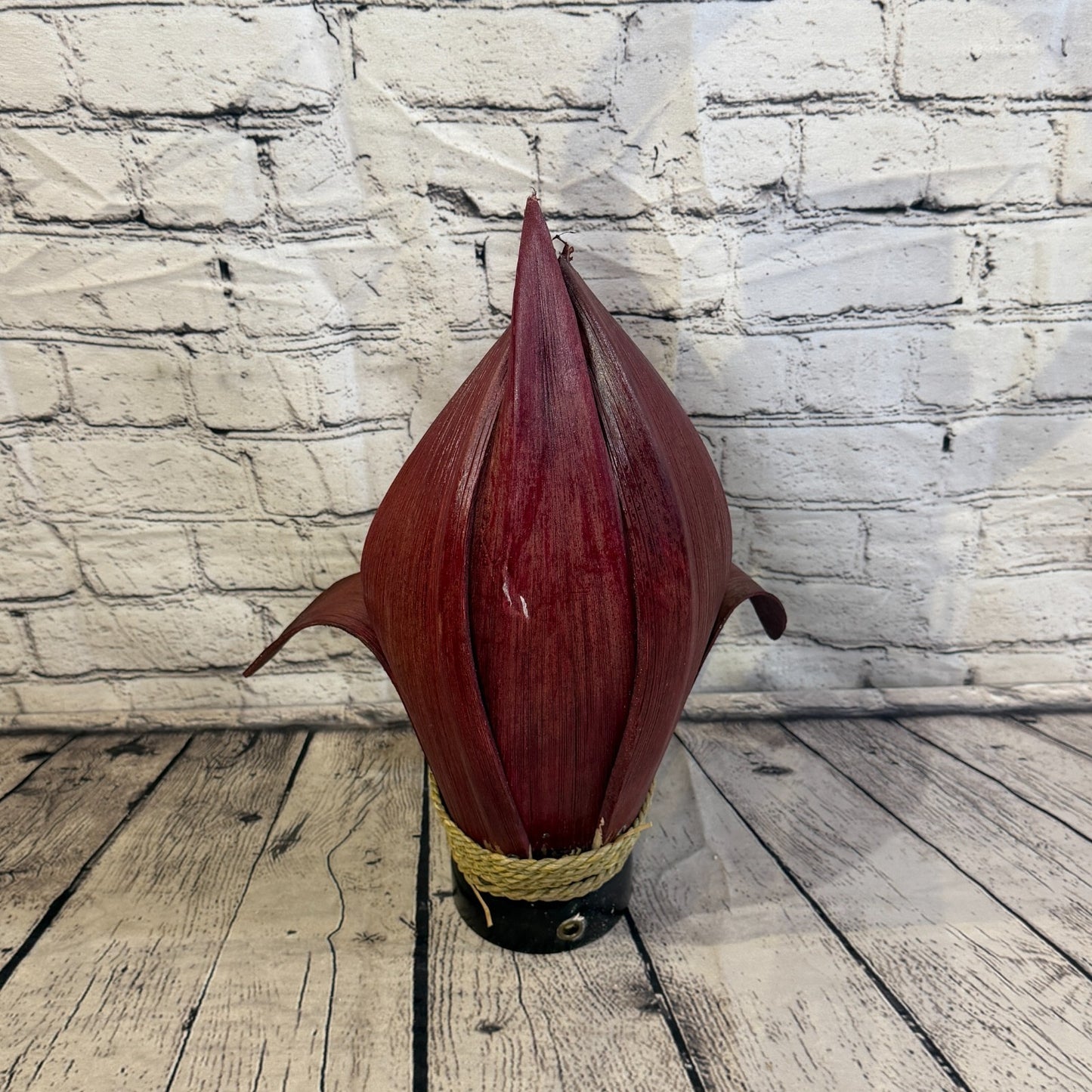 Red Light Red Natural 40cm Tall Leaf Lamp Twist LED UK Mains Plug Design 54