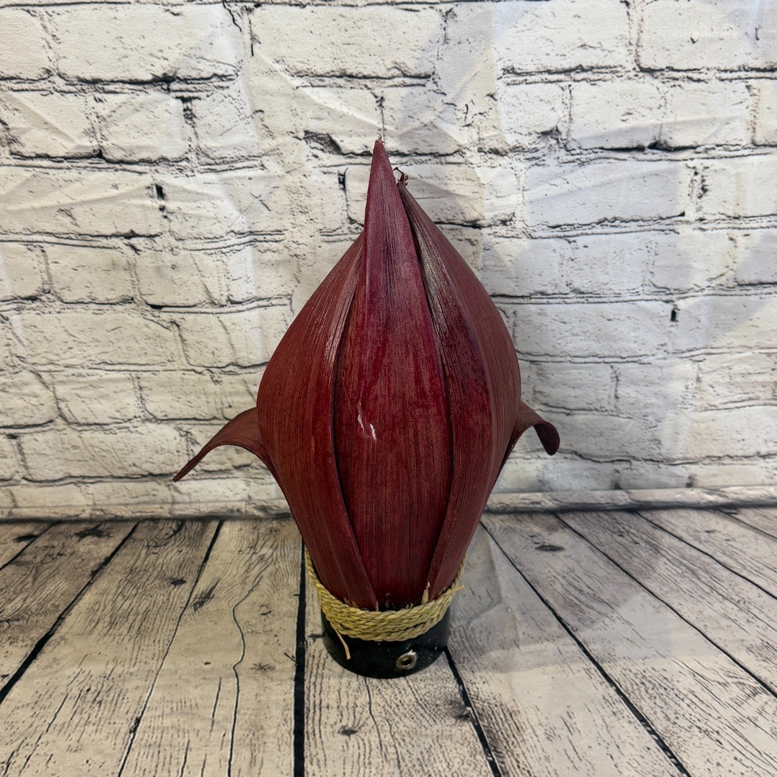 Red Light Red Natural 40cm Tall Leaf Lamp Twist LED UK Mains Plug Design 54