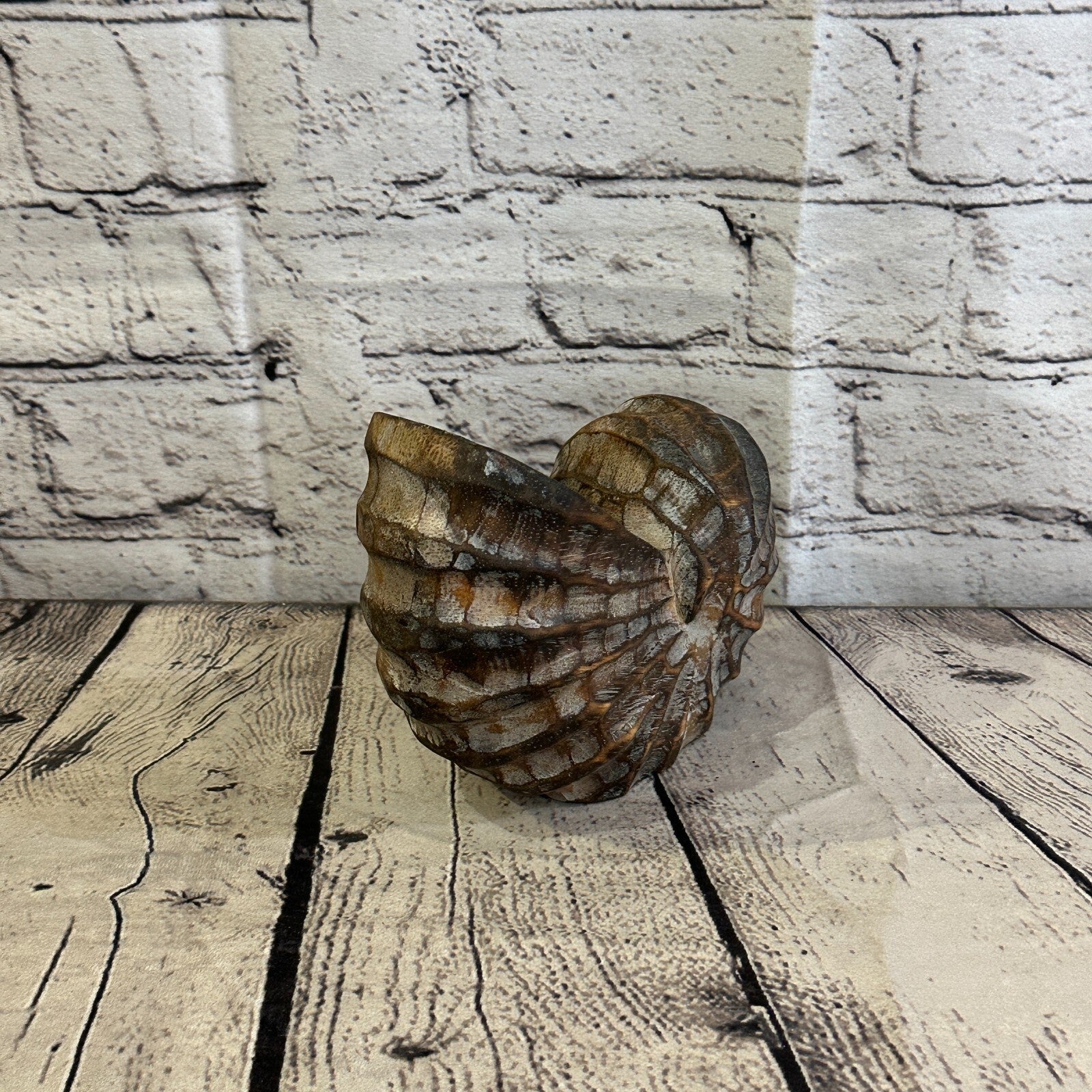 15cm Brown Polish Nautilus Shell Ornament Decor Carved Light Wood Parcel Figure4