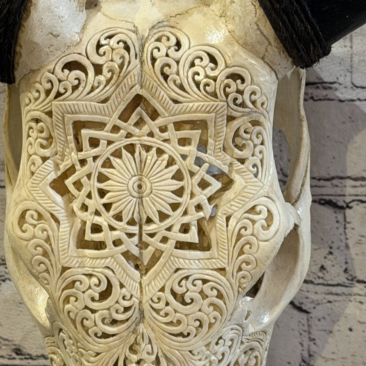 50cm Carved Buffalo Ram Wild Replica Skulls Wall Hanging Carved Design 33