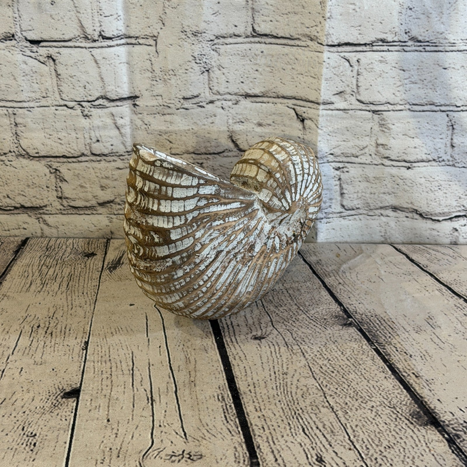 25cm Brown Shabby Pastel Nautilus Shell Ornament Decor Carved Light Wood Figure4