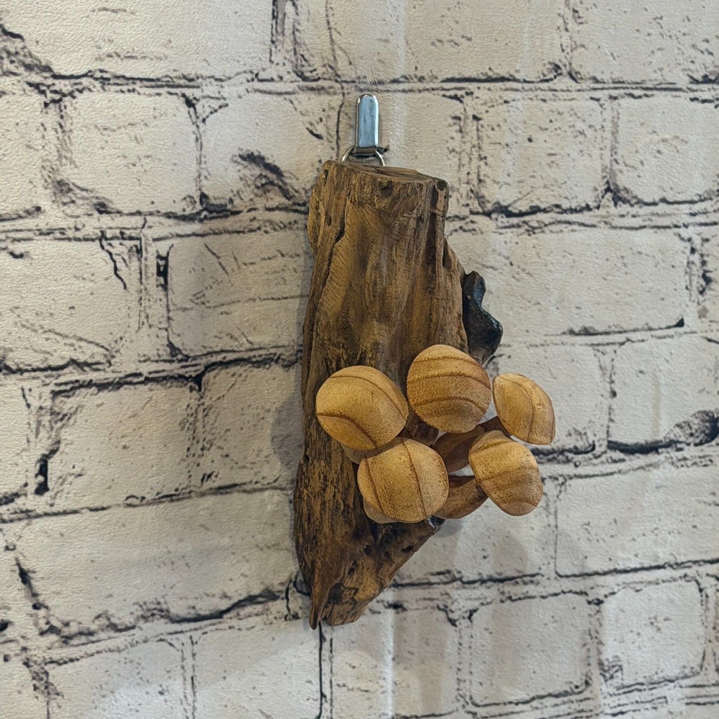 20cm Button Top Wall Art Mushroom Parasite Wood Ornament Natural Carving Wooden3