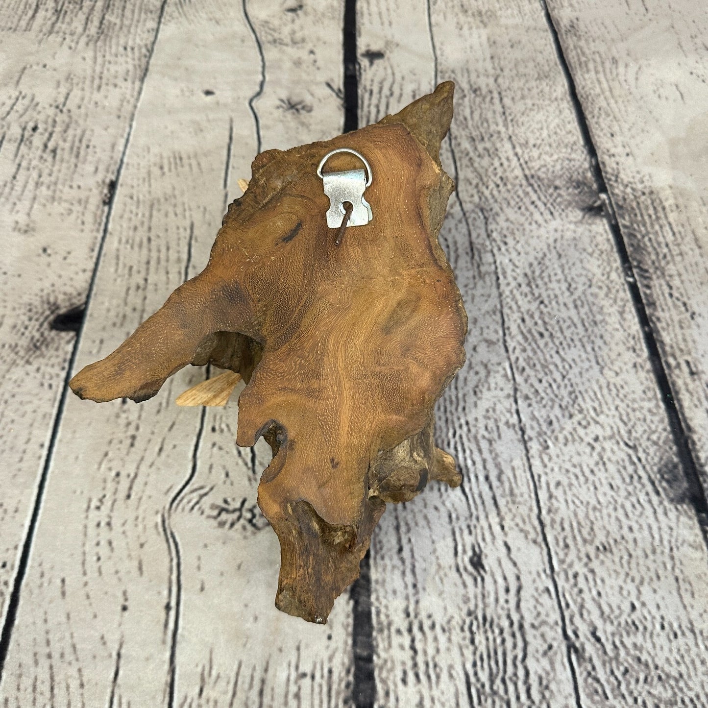 Bees Honeycomb Wall Art Mushroom Parasite Wood Ornament Natural Carving Wooden6