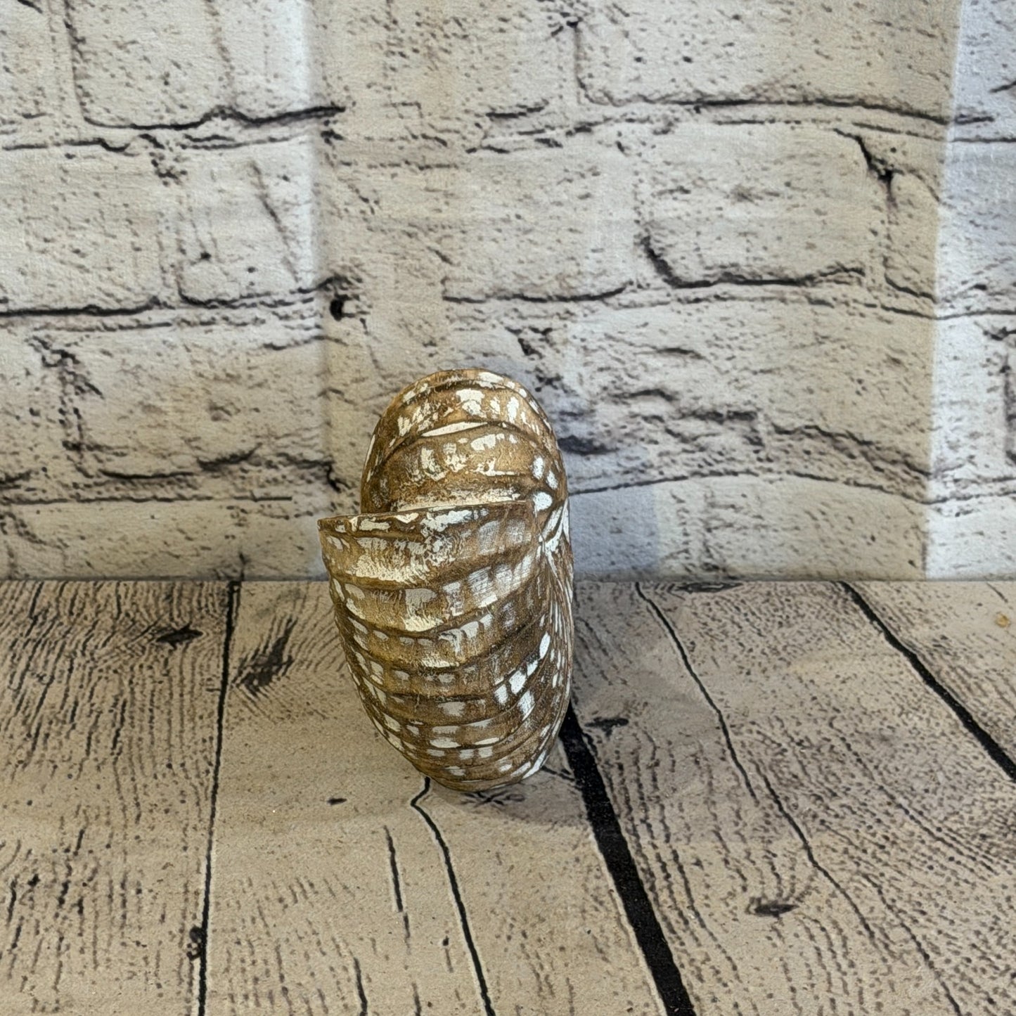 15cm Brown Shabby Pastel Nautilus Shell Ornament Decor Carved Light Wood Figure4