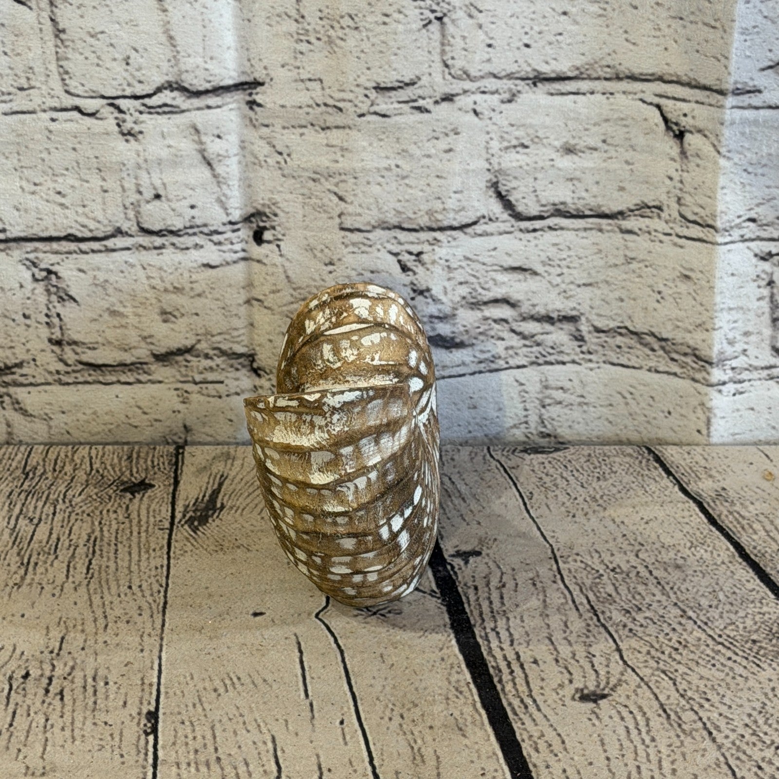15cm Brown Shabby Pastel Nautilus Shell Ornament Decor Carved Light Wood Figure4