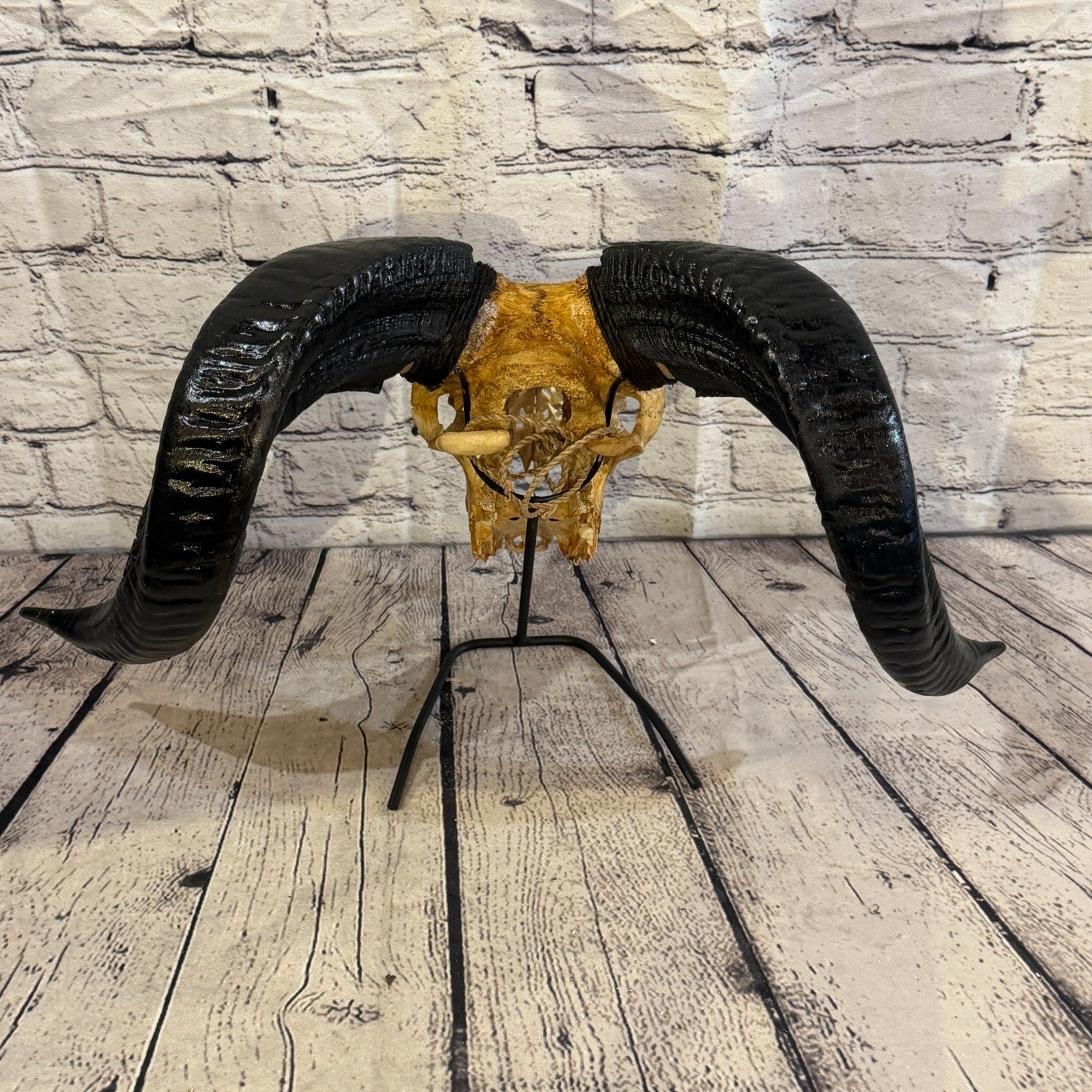 30cm Carved Buffalo Ram Wild Skulls Wall Hanging Carved With Stand Design 110