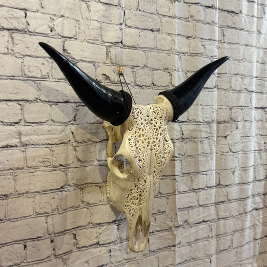 50cm Carved Buffalo Ram Wild Replica Skulls Wall Hanging Carved Design 10