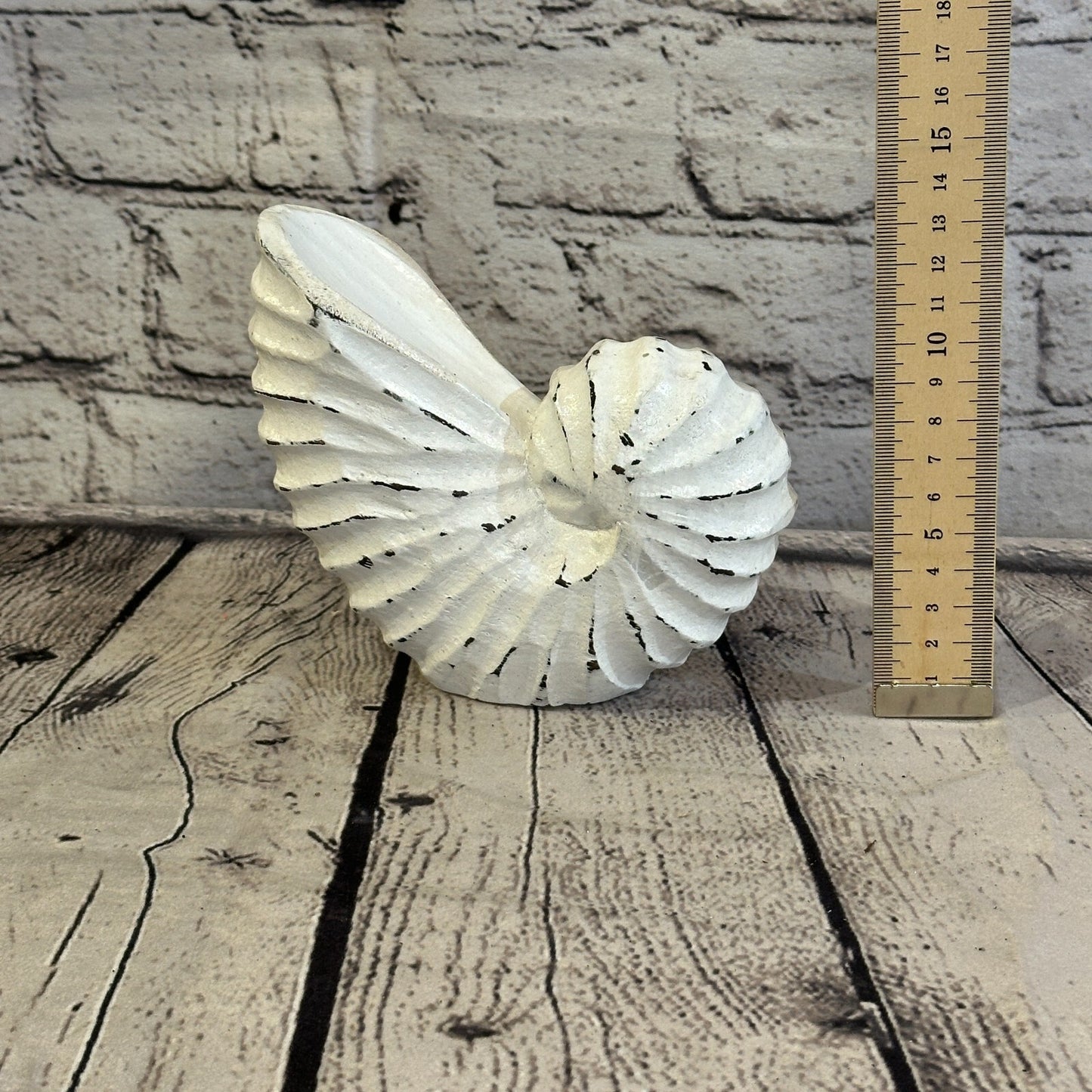 15cm White Shabby Nautilus Shell Ornament Decor Carved Light Wood Parcel Figure6