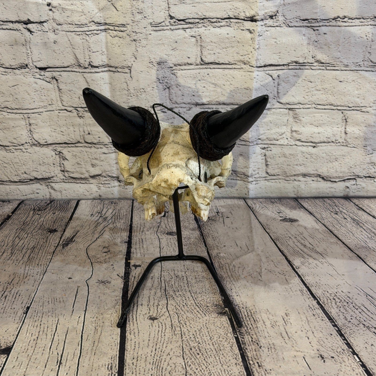 30cm Carved Buffalo Ram Wild Replica Skulls Wall Hanging Carved Stand Design 510
