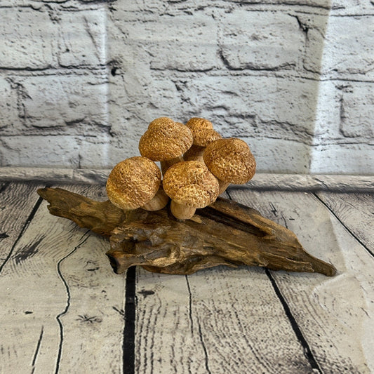 Five Dimple Mushrooms Parasite Ornament Natural Carving Fairtrade Wooden0