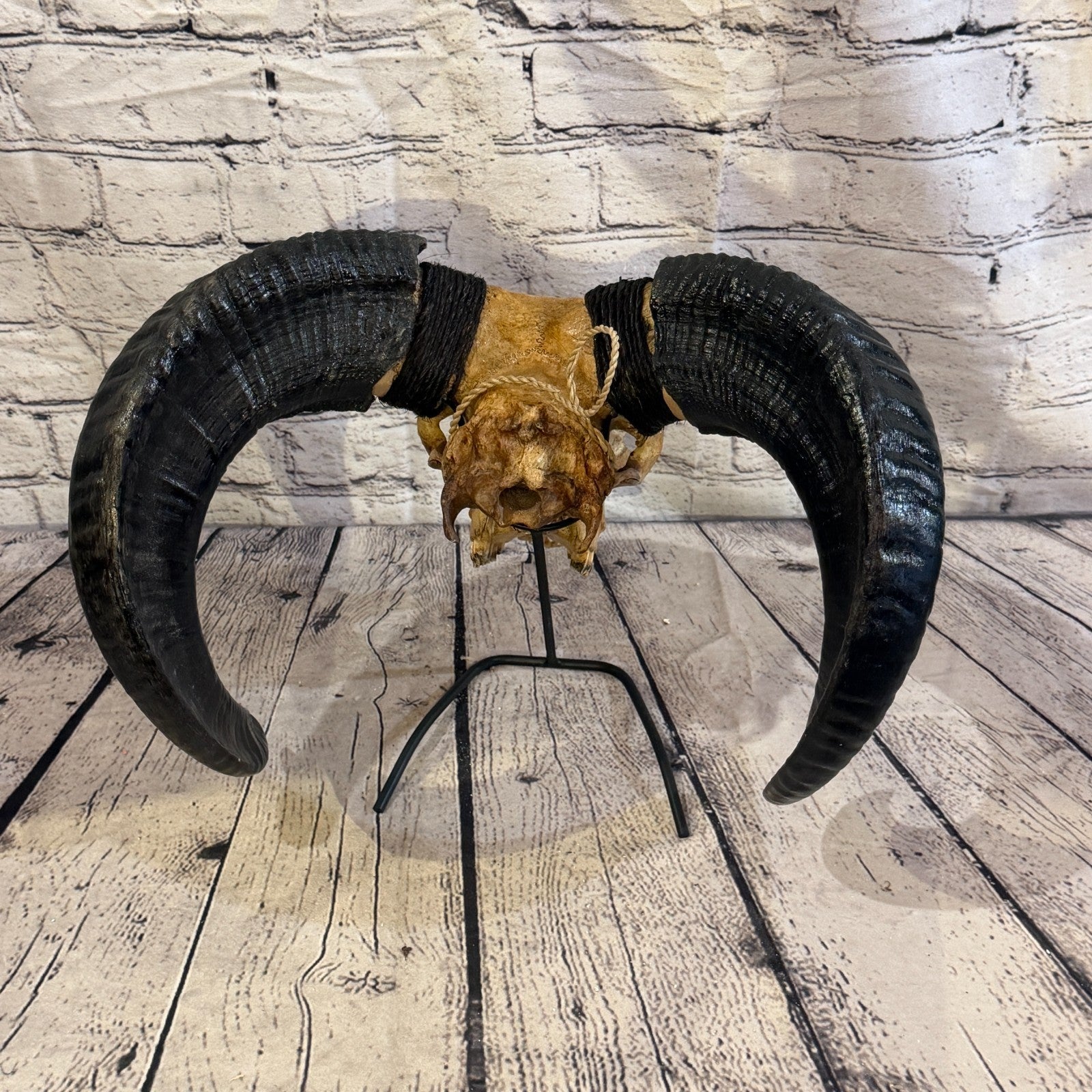 30cm Carved Buffalo Ram Wild Skulls Wall Hanging Carved With Stand Design 24